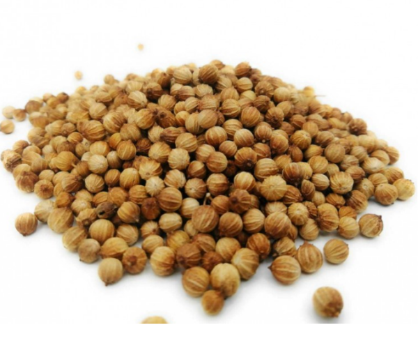 Cilantro en grano